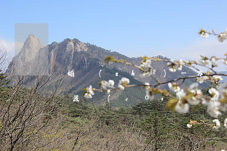 離婚時(shí)，一方轉(zhuǎn)移隱匿財(cái)產(chǎn)怎么辦？